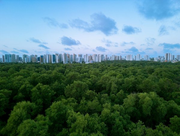 Album photo baptême personnalisé : souvenirs inoubliables