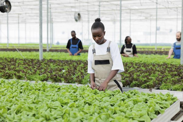 Quelle est la méthode la plus simple pour créer un jardin de fleurs sauvages ?